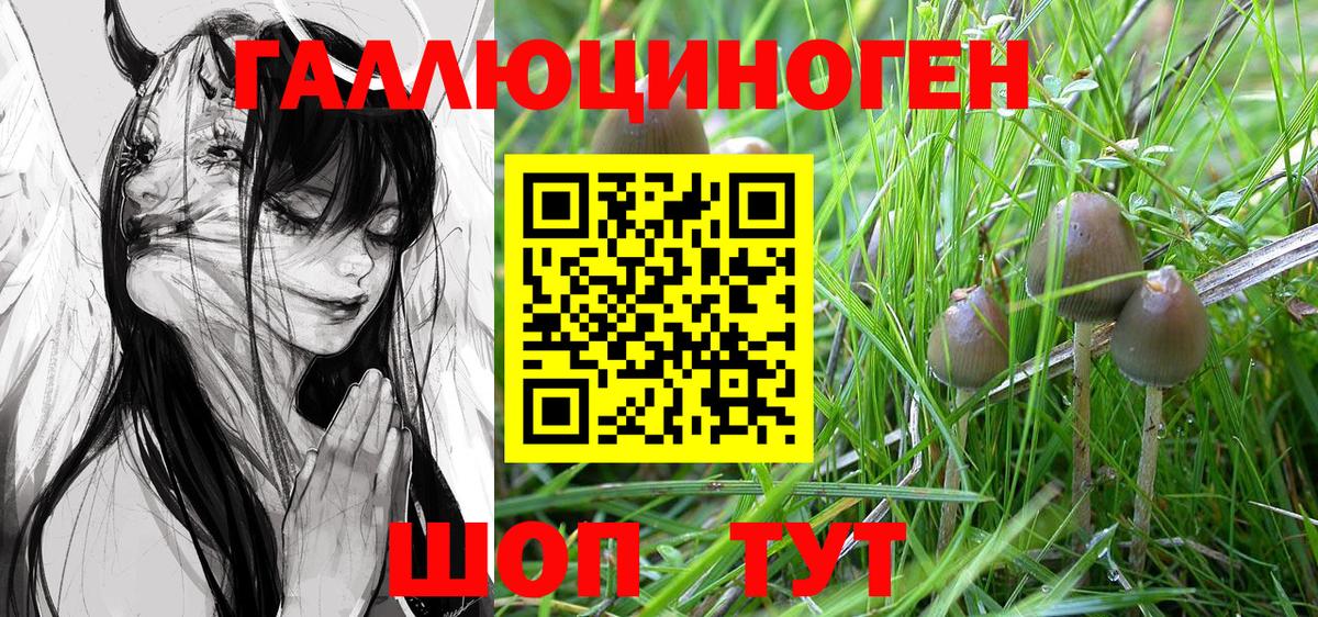 Галлюциногенные грибы MAGIC MUSHROOMS  Псилоцибиновые грибы мухоморы  Нарьян-Мар  Вход с VPN 